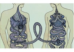 How and to Whom Should Fecal Transplantation be Applied? How and to Whom Should Fecal Transplantation be Applied?