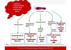 İntestinal Mikrobiyata ve Fekal Mikrobiyata Transplantasyonu [FTM) (DışkıNakli & Gaita Nakli) İntestinal Mikrobiyata ve Fekal Mikrobiyata Transplantasyonu [FTM) (DışkıNakli & Gaita Nakli)