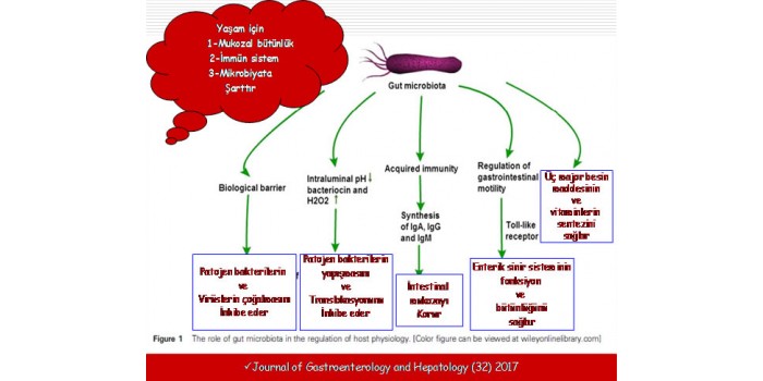 İntestinal Mikrobiyata ve Fekal Mikrobiyata Transplantasyonu [FTM) (DışkıNakli & Gaita Nakli) İntestinal Mikrobiyata ve Fekal Mikrobiyata Transplantasyonu [FTM) (DışkıNakli & Gaita Nakli)